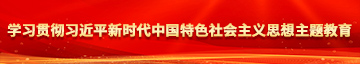 掰开逼让同学舔学习贯彻习近平新时代中国特色社会主义思想主题教育