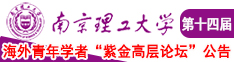 骚妣南京理工大学第十四届海外青年学者紫金论坛诚邀海内外英才！